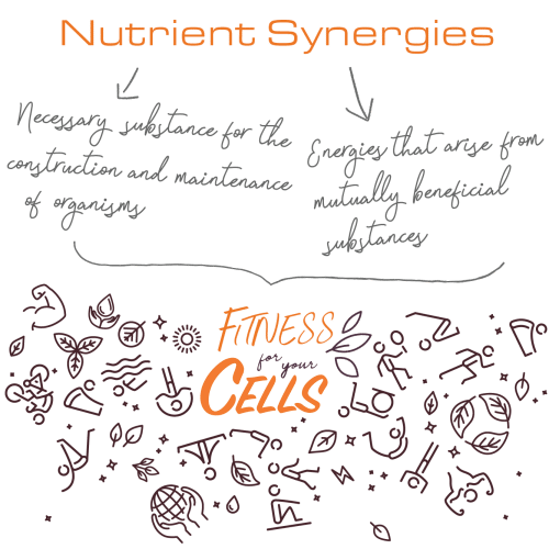 about us nutrient synergies 2 500x500 1