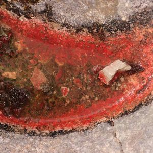 Astaxanthin Haematococcus pluvialis