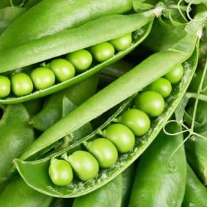 Erbsenprotein Wirkung