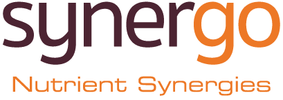 Synergo Logo EN